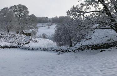 Pine cottage with private hot tub - Photo 20