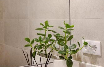 Cascais Modern & Quiet Retreat - Foto 40