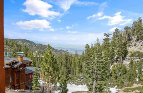 Stage Coach Run home - Foto 53