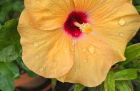 E s s e n t i a l Pompei - Foto 10