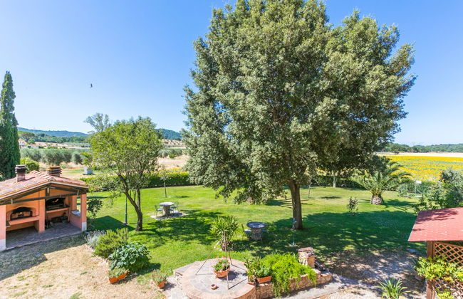 Rossogiallo - Foto 47