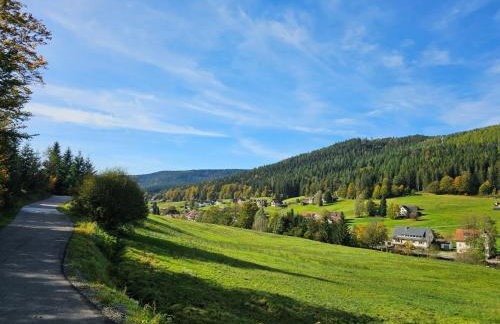 Ferienwohnung Hirschlein mit Schwarzwaldblick in Baiersbronn - Foto 22
