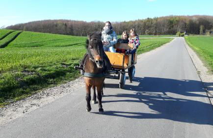 Ostsee Reetkate - Foto 39