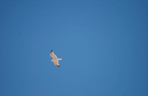 19 Ocean Gate - Foto 29