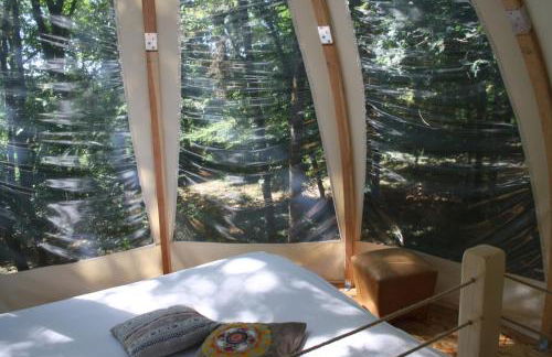 Ô bois dormant - Foto 49