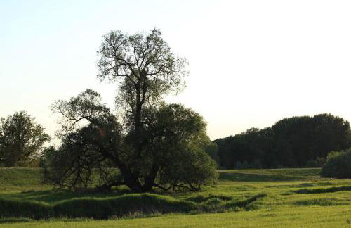 Altes Kommandeurhaus in Werben an der Elbe - Foto 14