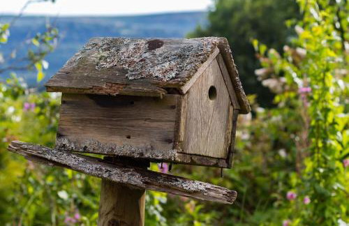 Brecon Beacons Old Vicarage, stunning garden & views - Foto 12
