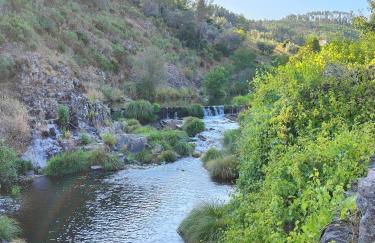 Azoka by the River- Proença-a-Nova - Foto 30