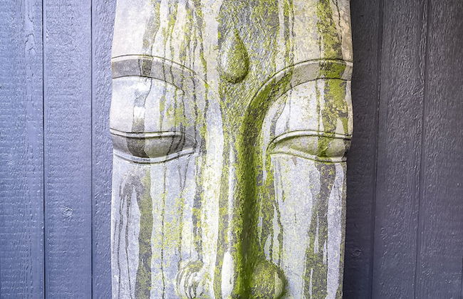 Sanctuary in The Pocket - Photo 72