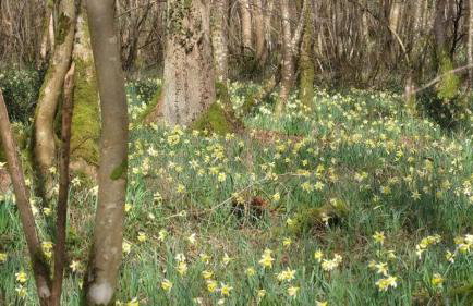 La loge Diane, à deux pas du château et son jardin à la française - Foto 19