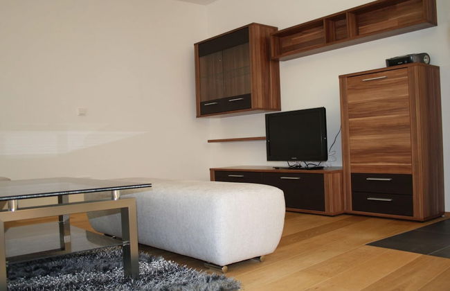 Apartment in the ski Area - Foto 11