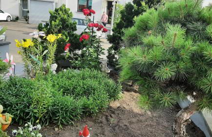 Ferienwohnung Andreea - Foto 6