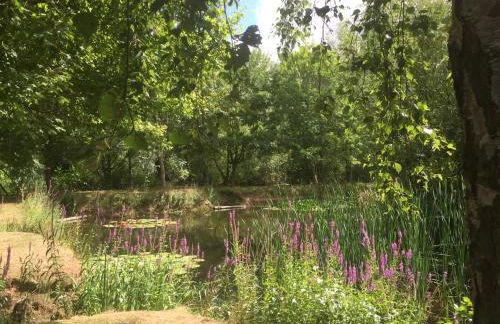 Rose cottage - Photo 14