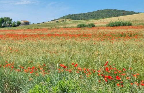 CASA MAIRA IN CENTRO A SATURNIA - Foto 10