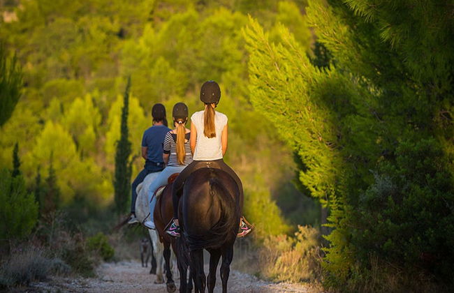 Apartment in Konavle Region Gruda - Foto 23