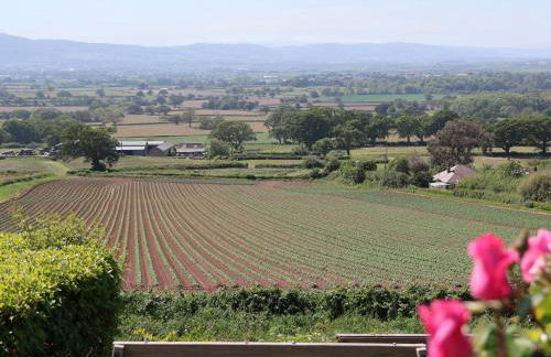 Buzzards View - Photo 57