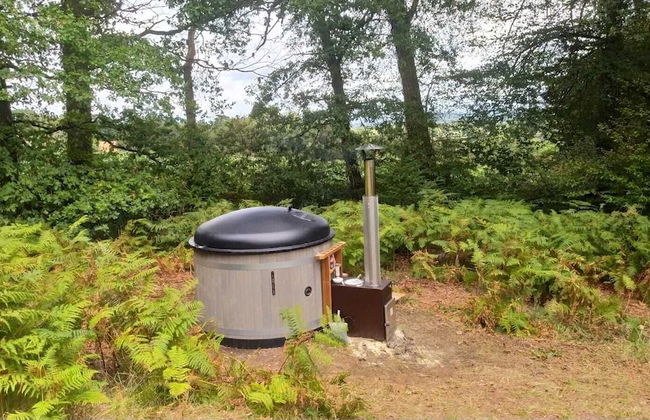 Etape en forêt - Foto 42