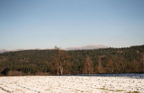 Ferienwohnung Weideblick Gänsberg - Foto 25