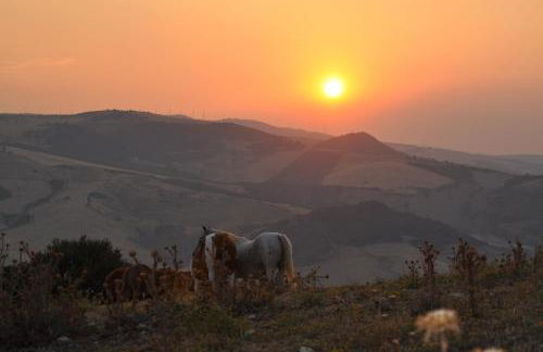 Masseria Straziuso - La Vaccariccia - Foto 23