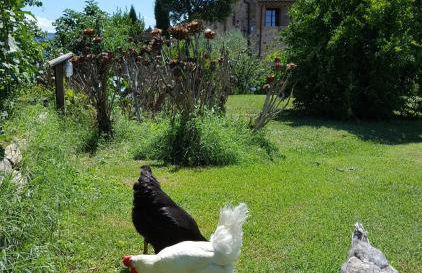 Podere Cunina - Foto 24