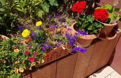 FeWo Sonnenblume mit sauna - Photo 5