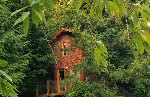 Treehouse Place at Deer Ridge Featured top 10 USA - Photo 4