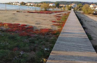 Apartments Mirana - Foto 30