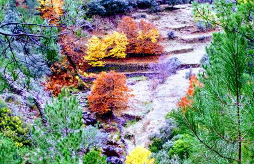 La Zambrana rural house - Foto 17