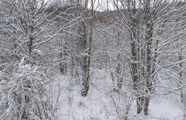 Villa in Tagliacozzo With Pool and Nature - Foto 34