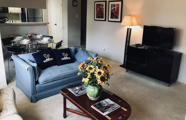 Houston Med Center/NRG Area 2B/2B All Inclusive - Foto 13