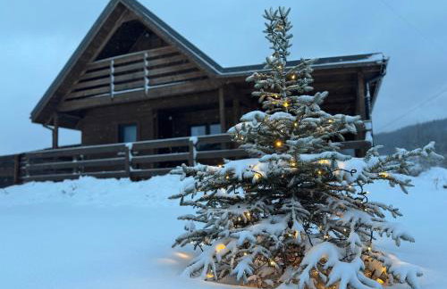 Gołąbek Stronie Śląskie - Foto 28