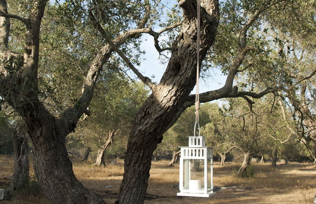 Villa Diana - Photo 19