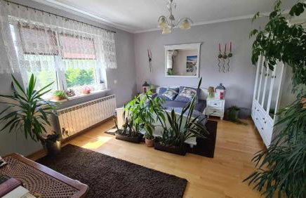 Zakątek u Poety Dąbrówka - Foto 46