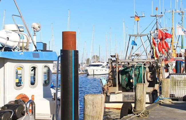 6 Personen Ferienhaus in Wendtorf - Foto 13