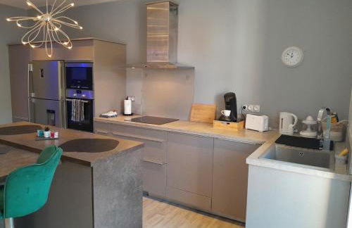 Maison Spacieuse 3 chambres, billard, proche Zénith, - Foto 11