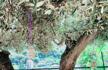 Casa indipendente Roque Vista al mar con parking gratuito - Photo 27