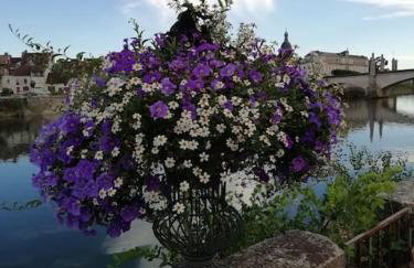 La Maison aux volets bleus 37 m3, Bords de Saône - Foto 35