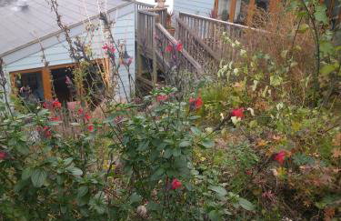 Fern Cottage Annexe - Foto 11