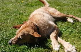 Wohnung "Orther Hafen" in Bannesdorf auf Fehmarn - Foto 18