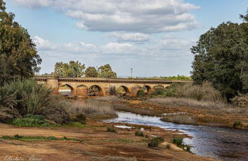 La Vaquería - Foto 79