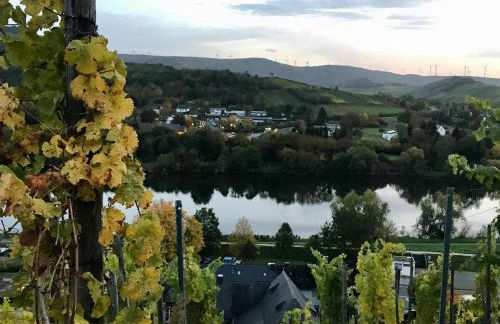 Kalverkamp Ferienwohnung - Foto 42