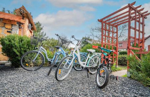 Domki Forest sauna jacuzzi balia Darłowo Darłówko Rusko - Foto 46