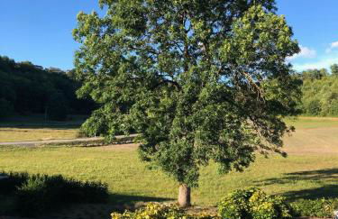 Stilvolle Wohnung für 6 Personen - mit riesiger Dachterrasse - Foto 41