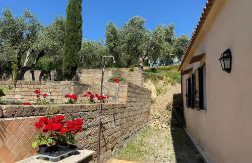 La Serenella - Foto 25