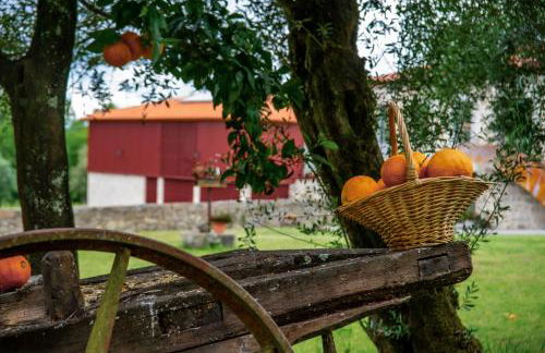 Quinta de Chousas - Braga - Agrotourism - Foto 13