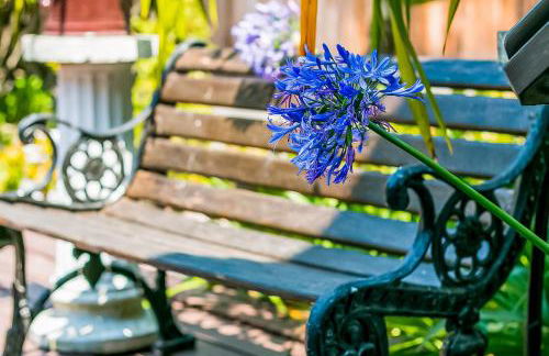 Santa Barbara Beach Cottage - Photo 8