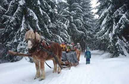 Ferienwohnung Meierbaude - Foto 3