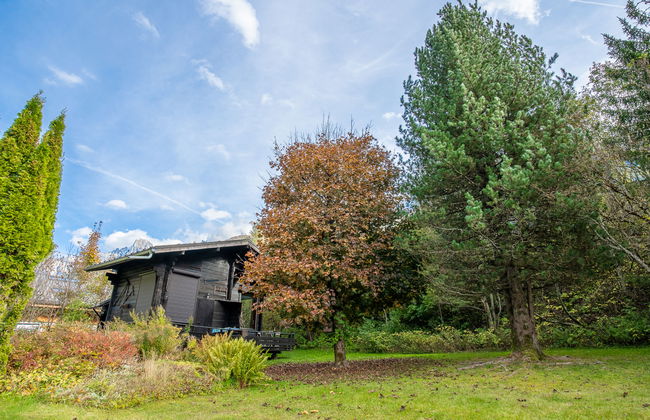 Les Mazots de La Renardiere - Foto 19