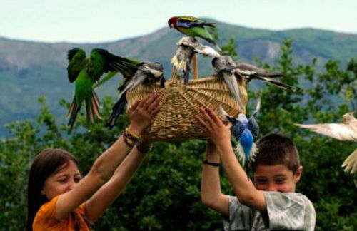 La maison des gaves - Calme, Agréable, Local vélo - Foto 62