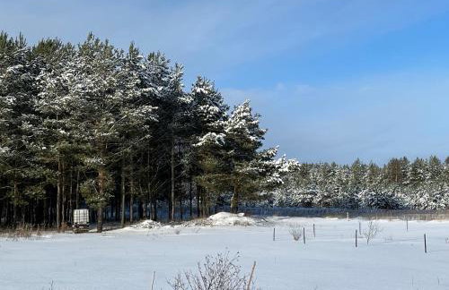 Domek wypoczynkowy Letnisko Sosenkowo - Foto 54
